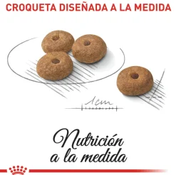Adulto Esterilizado Mini 1 Kg- Royal Canin