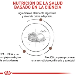 Alimento Para Gato Royal Canin Veterinary Diet Hepatic - 2 Kg