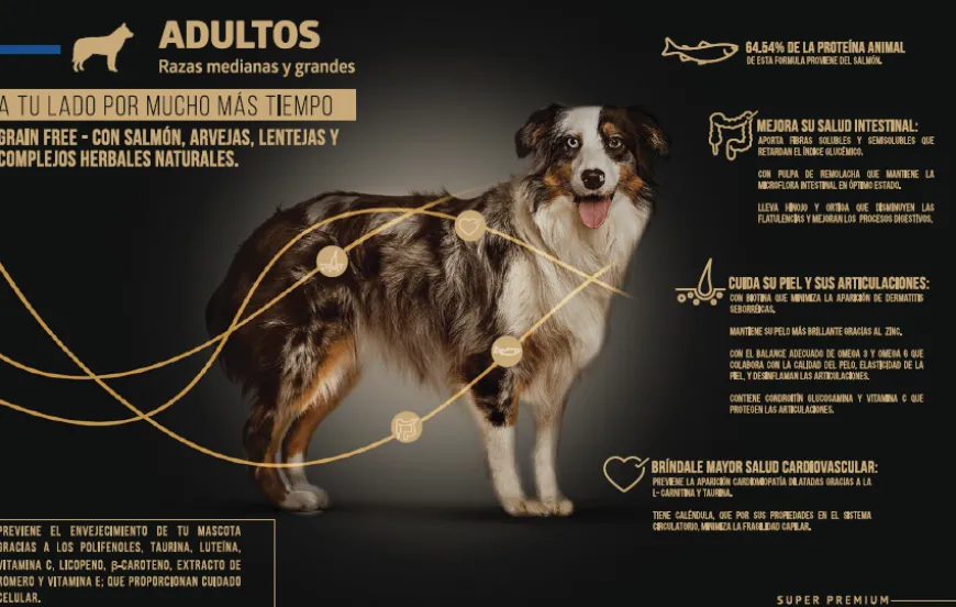 Alimento Perro Wellness Adultos Razas Medianas y Grandes Super Premium