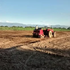 A-MICSUR Zn Bioestimulante con Aminoácidos y Zinc para Cultivos