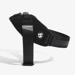 Arnes para Perro Pequeño Gotham Flyharness
