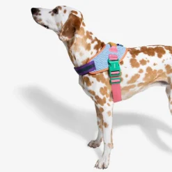 Arnés Galaxy FlyHarness para Perro cómodo y reflectivo