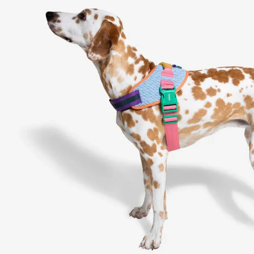 Arnés Galaxy FlyHarness para Perro cómodo y reflectivo