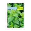 Aromática Menta 0.1 gr | Semillas Jardín | Tierragro Colombia