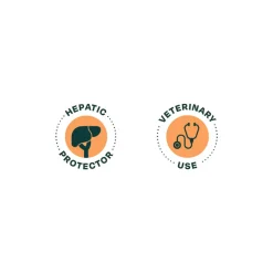 Bonnat Alimento Seco Hepatico Super Premiun para Perros 2 kg