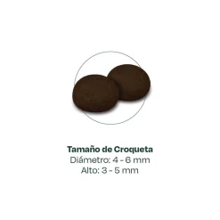 Bonnat Alimento Super Premiun Para Gatitos 1,5 kg