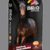 Brio Potros | Nutrición Mascotas y Animales | Tierragro Colombia