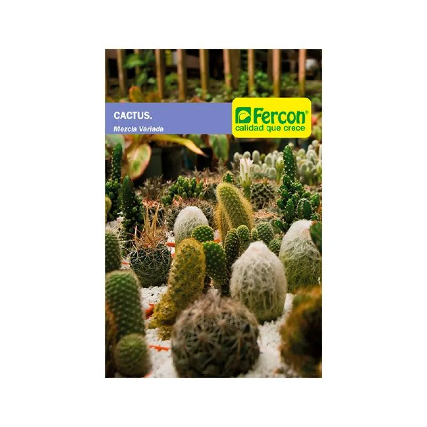 Cactus Variados 0.3 gr | Semillas Jardín | Tierragro Colombia