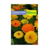 Calendula Flor Doble 1 gr | Semillas Jardín | Tierragro Colombia