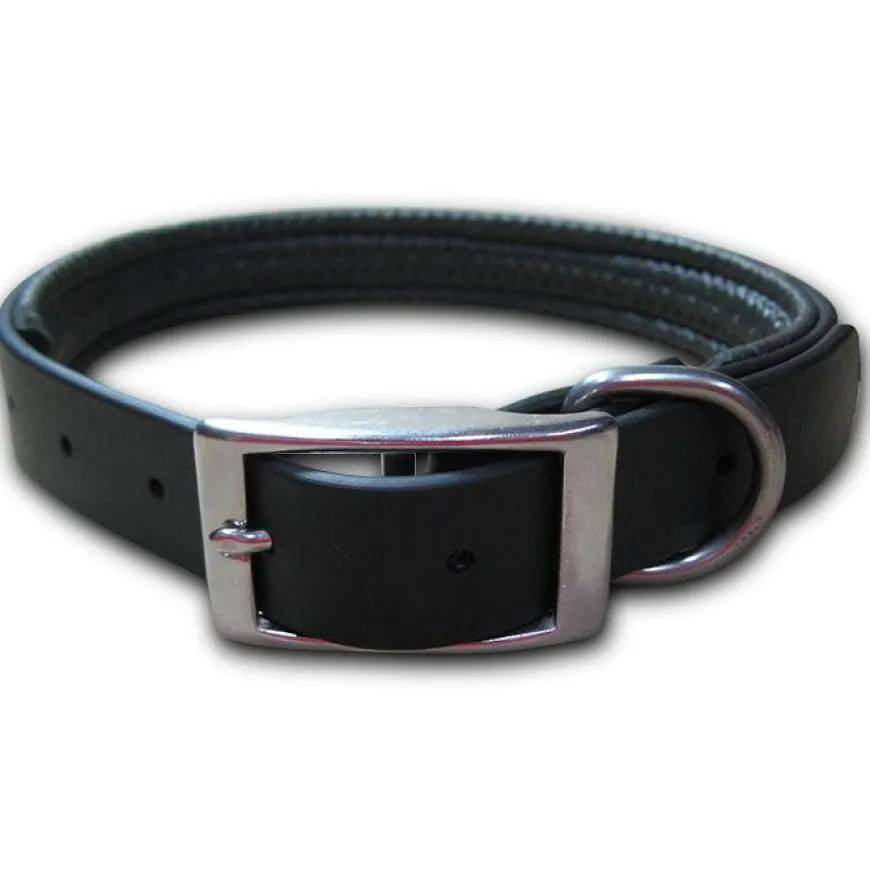 Collar Perro Talla M | Accesorios Altorno para Mascotas | Compra Online