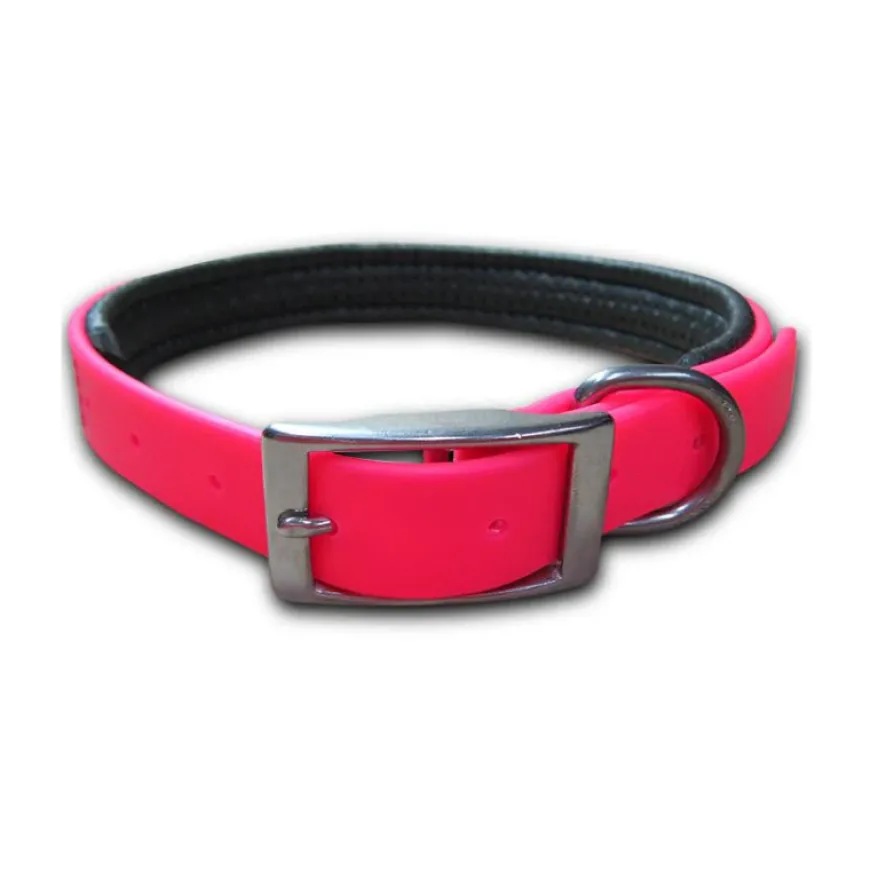 Collar Perro Talla S | Accesorios Mascotas | Compra Online en Tierragro.