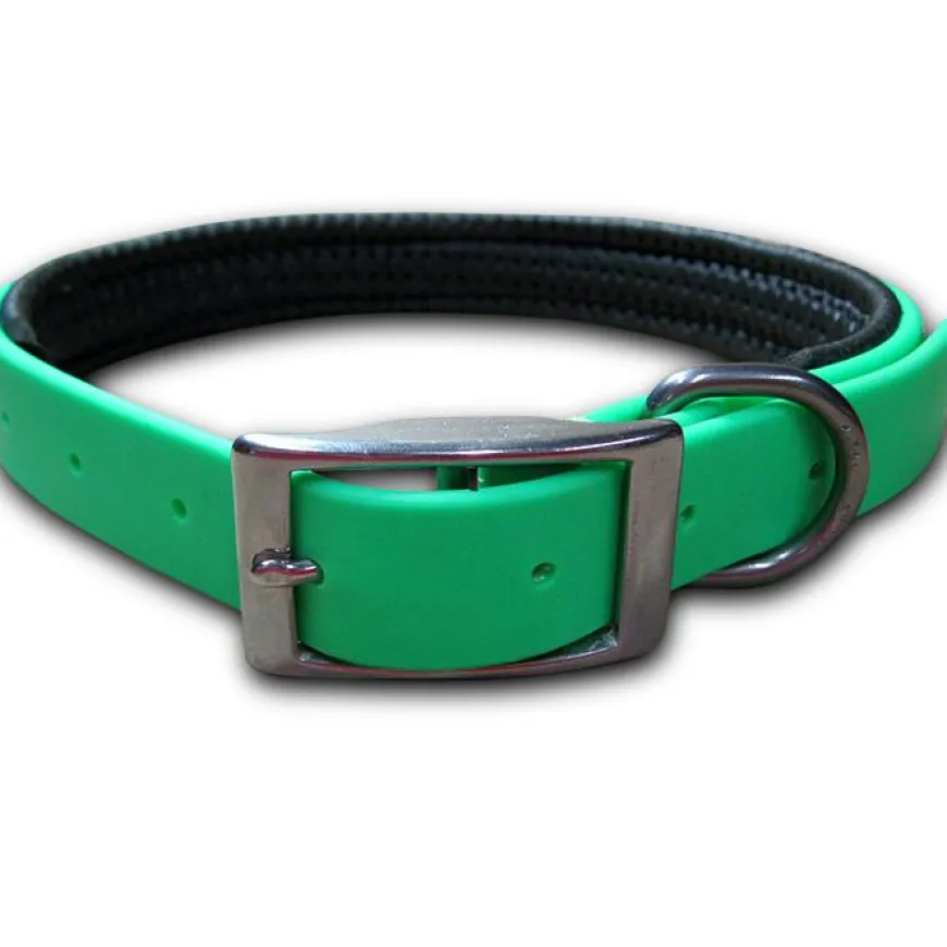 Collar Perro Talla S | Accesorios Mascotas | Tierragro Colombia
