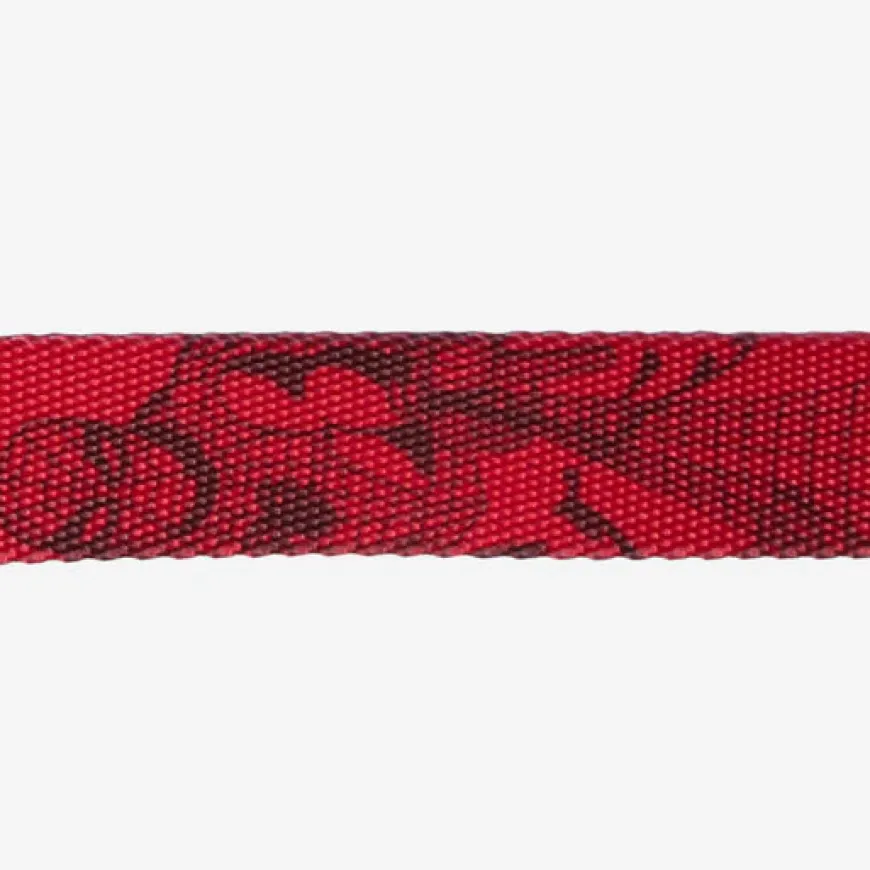 Collar Spider-Man para perro Marvel ajustable y seguro