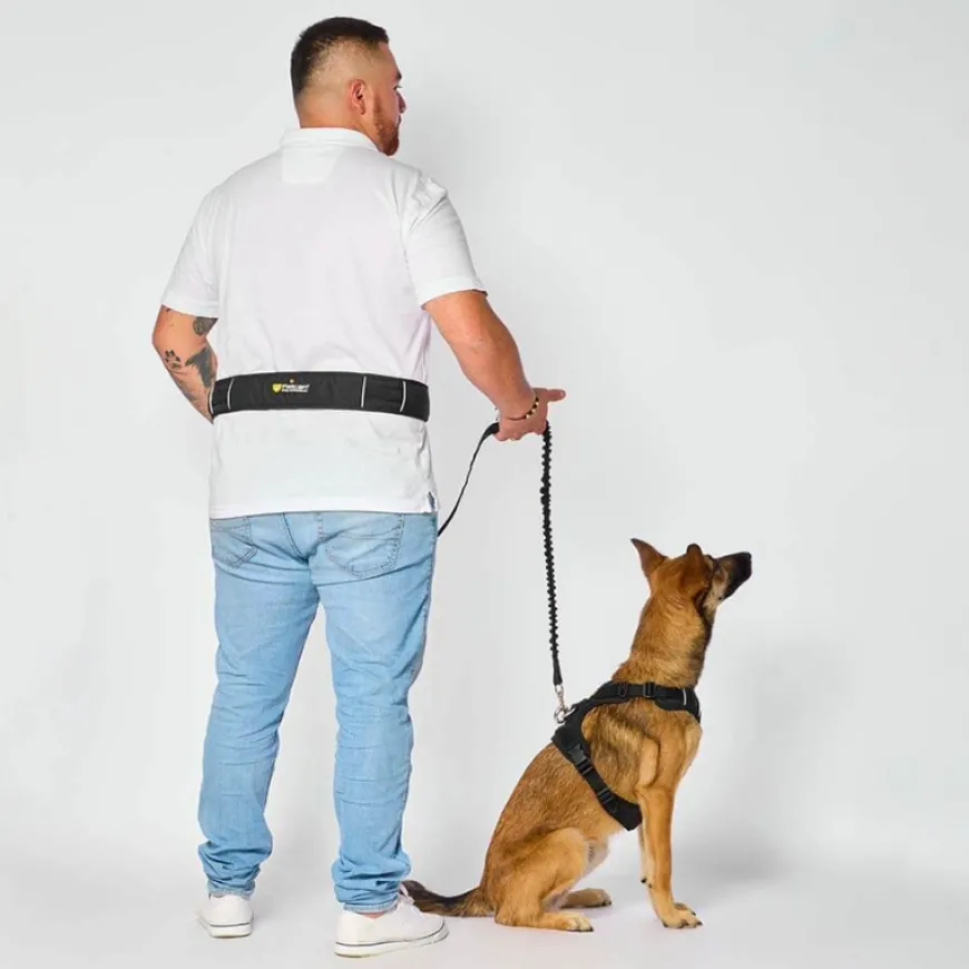 Correa Manos Libres para Perro Comodidad y Libertad en Paseos