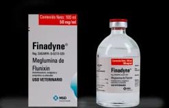 Finadyne Inyectable: Antiinflamatorio para Caballos, Bovinos y Porcinos
