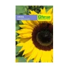 Flor Girasol 4 gr | Semillas Jardín | Tierragro Colombia