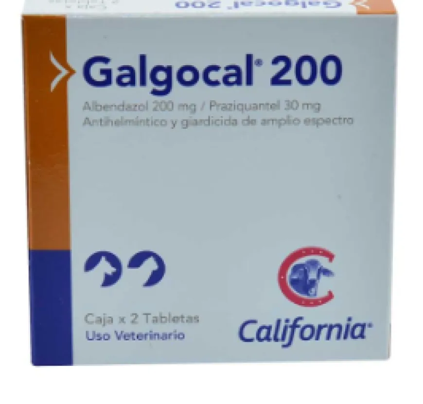 Galgocal 200 Oral Caja x 2 Tab