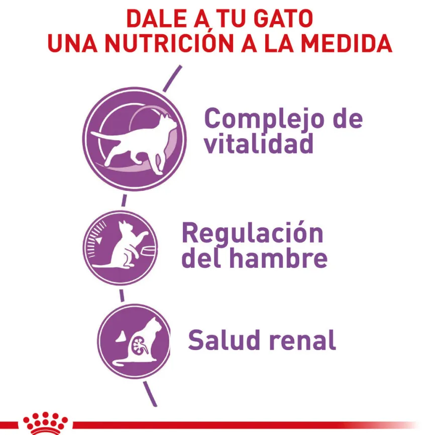 Gato Esterilizado 7+ Royal Canin 1.5 Kg
