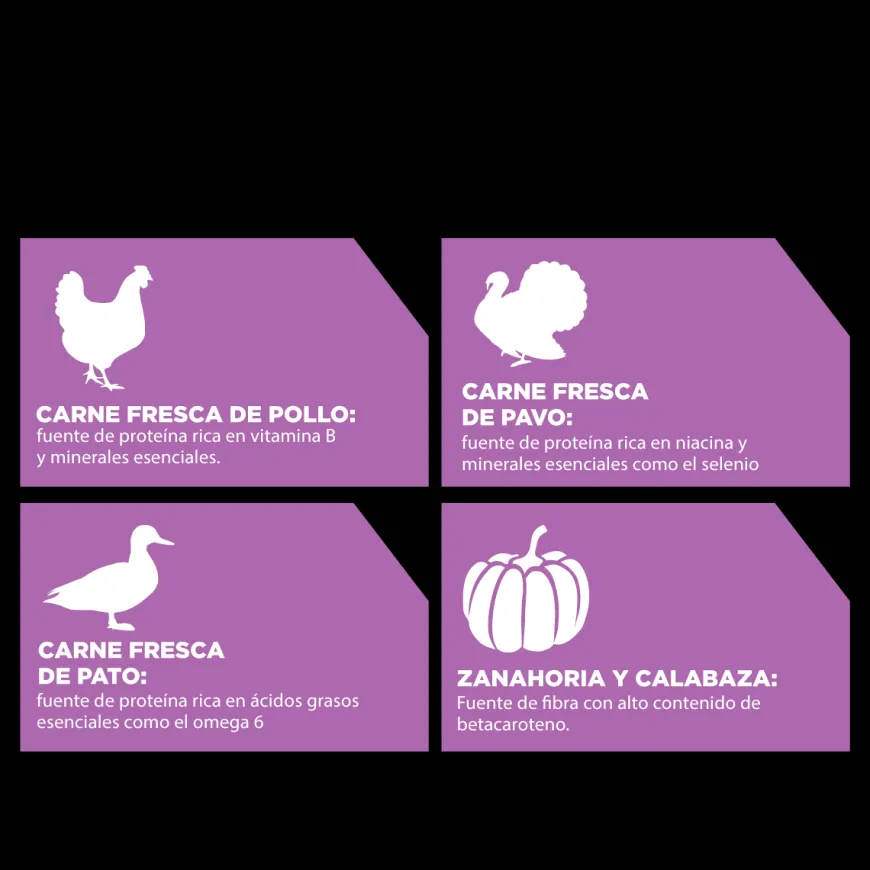 Go! Carnivore Receta De Pollo. Pavo Y Pato Para Gatos 3.7Kg