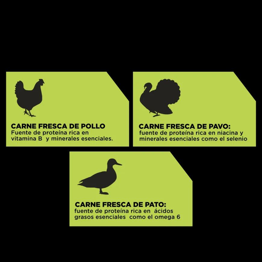 Go! Carnivore Receta De Pollo. Pavo Y Pato Para Perros Cachorros 1.6Kg