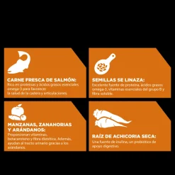 Go! Skin + Coat Receta De Salmón Para Gatos 1.4Kg