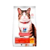 Hills Feline Hairball Control 3.5 lb | Nutrición Mascotas y Animales | Tierragro Colombia
