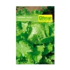 Lechuga 2 gr | Semillas Jardín | Tierragro Colombia