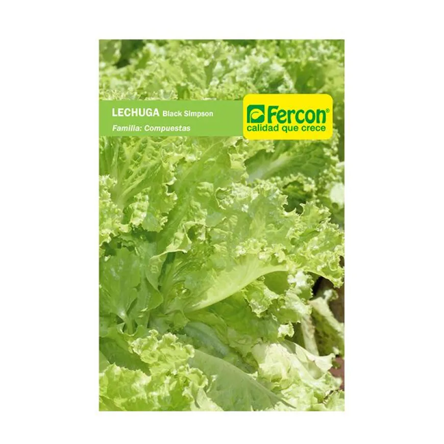 Lechuga Black Simpson 3 gr | Semillas Jardín | Tierragro Colombia