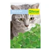 Menta de Gato 0.3 gr | Semillas Jardín | Tierragro Colombia