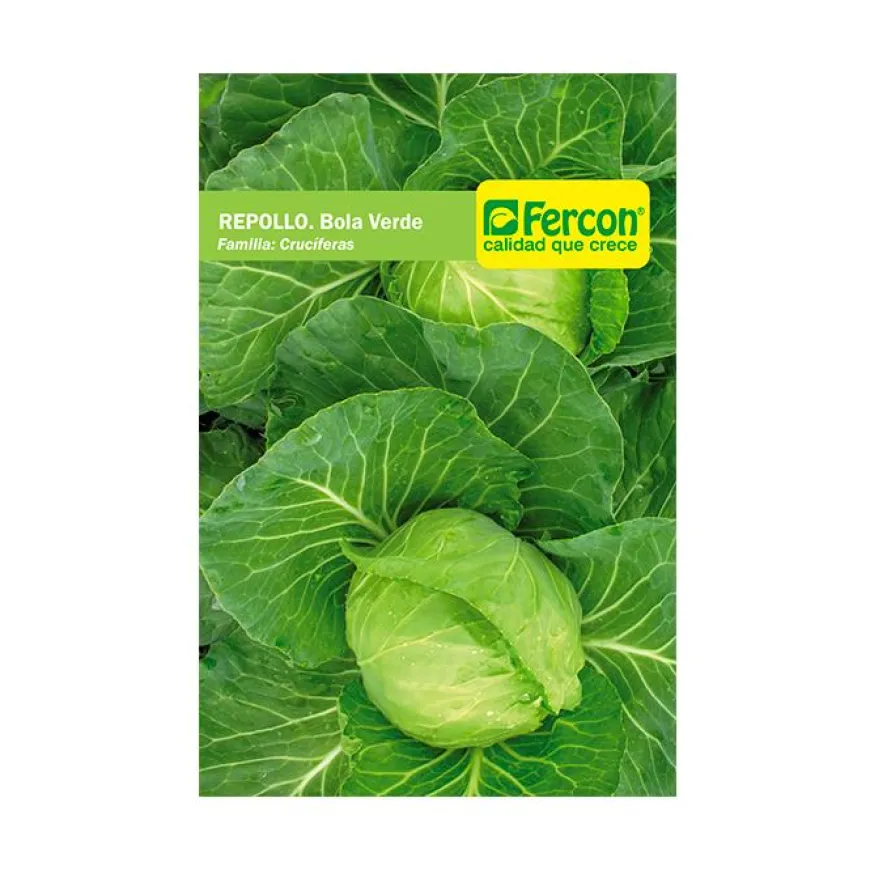 Repollo Bola Verde 3 gr | Semillas Jardín | Tierragro Colombia