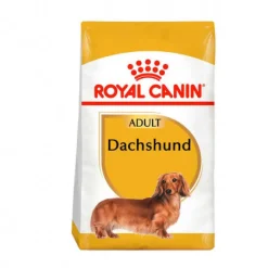 Royal Canin Dachshund Adulto Alimento Especializado Perros Salchichas