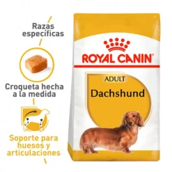 Royal Canin Dachshund Adulto Alimento Especializado Perros Salchichas