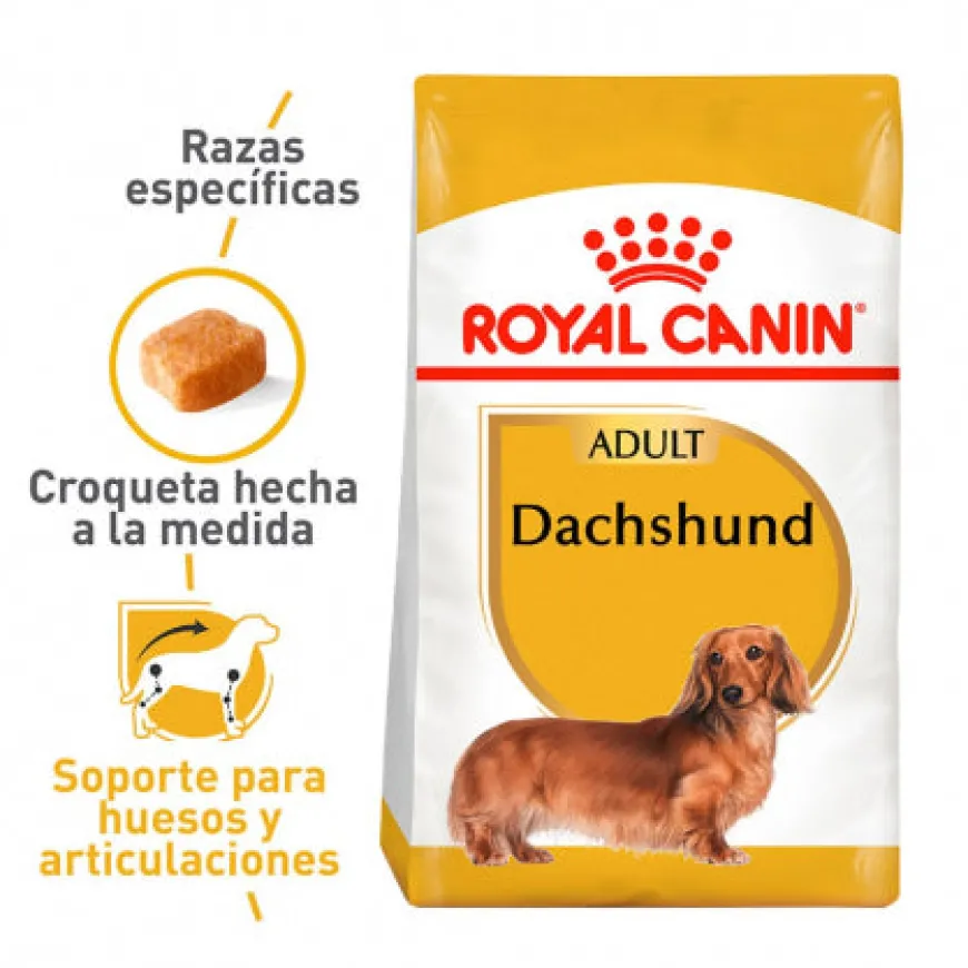 Royal Canin Dachshund Adulto Alimento Especializado Perros Salchichas