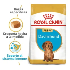 Royal Canin Dachshund Puppy Alimento Especializado Salchicha Cachorros