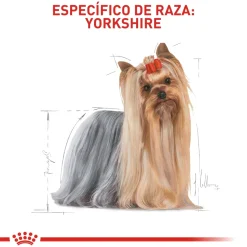 Royal Canin Yorkshire Terrier 4.54Kg