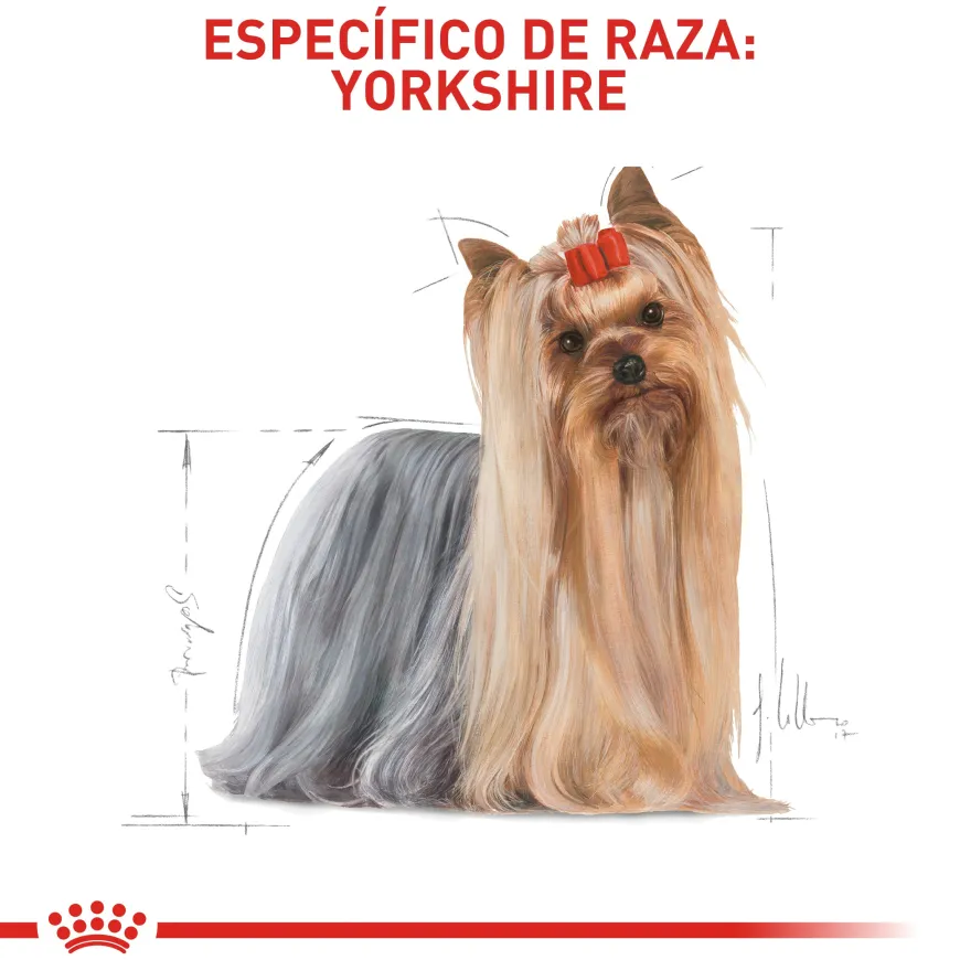 Royal Canin Yorkshire Terrier 4.54Kg