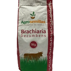 Semillas de Pasto Brachiara Decumbens 1 kg para Jardín | Tierragro