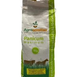 Semillas de Pasto Mombasa 1 kg para Jardín y Patio | Tierragro