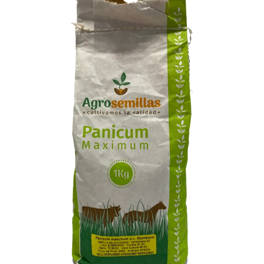 Semillas de Pasto Mombasa 1 kg para Jardín y Patio | Tierragro