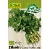 Semillas Organicas para Cultivar Cilantro Fresco Sobre 3 gr