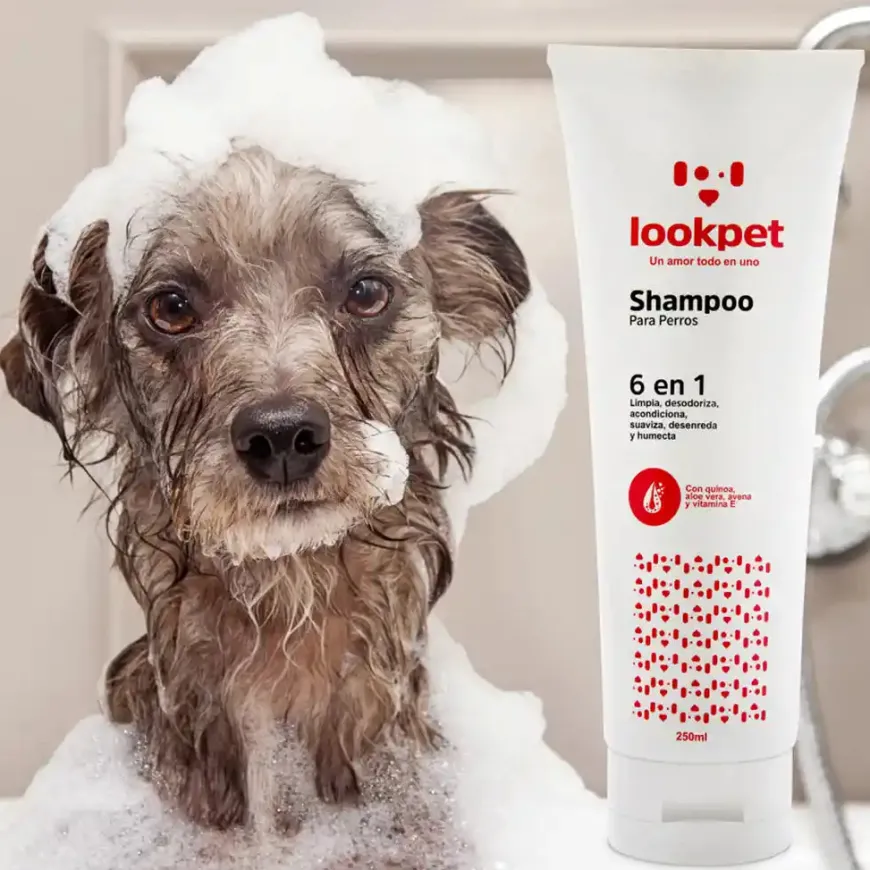 Shampoo 6 en 1 Perros Adultos Lookpet 250 ml Cuidado Completo