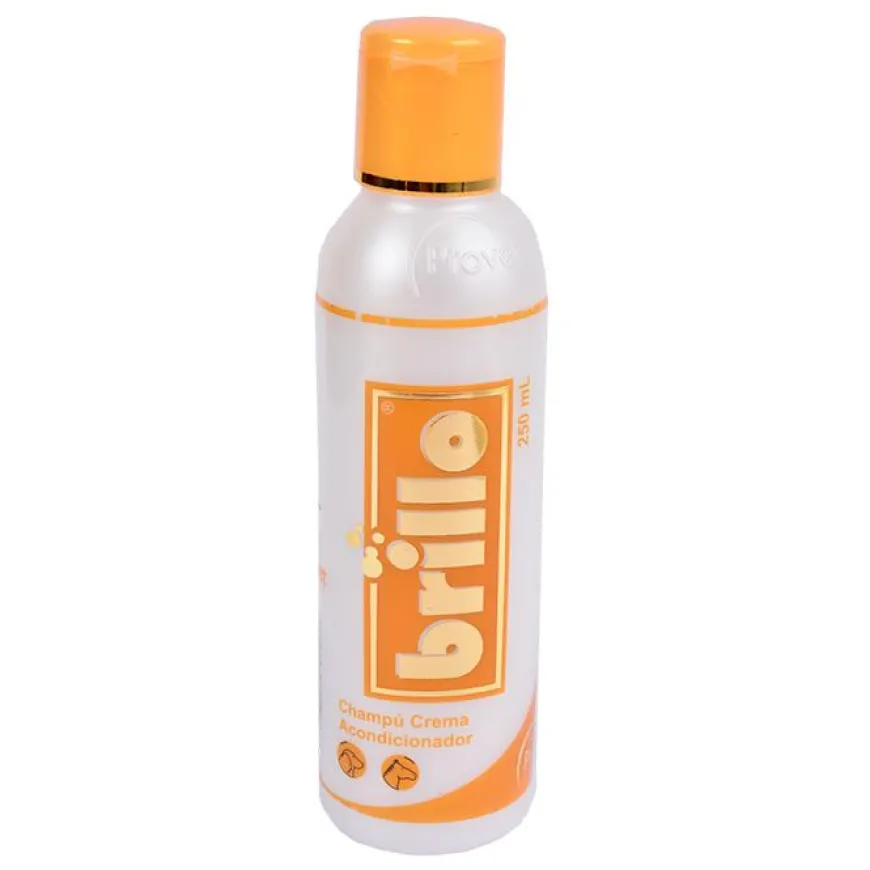 Shampoo Brillo x 250 ml | Marroquinería | Tierragro Colombia