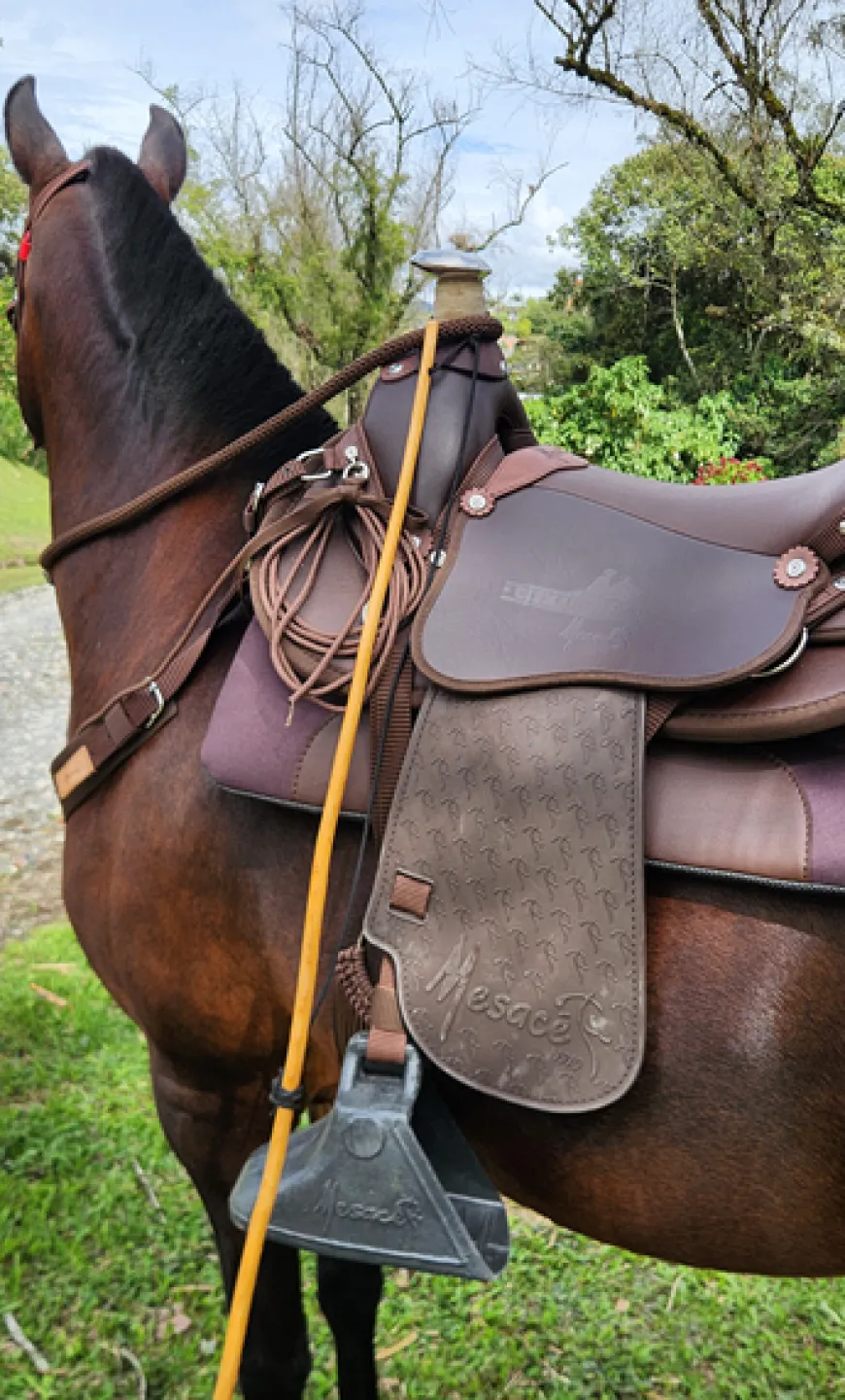 Silla Monarca Cabalgata Mesace Montura Liviana y Resistente Equinos