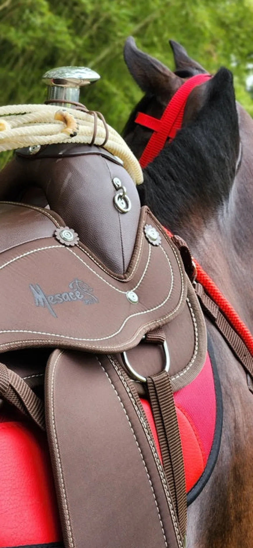 Silla Sabanera Vaquería Mesace Resistente, Liviana e Impermeable