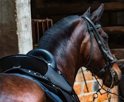 Tereque Tronador Cabalgata Mesace Montura Resistente y Ergonómica