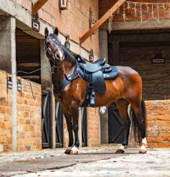 Tereque Tronador Cabalgata Mesace Montura Resistente y Ergonómica