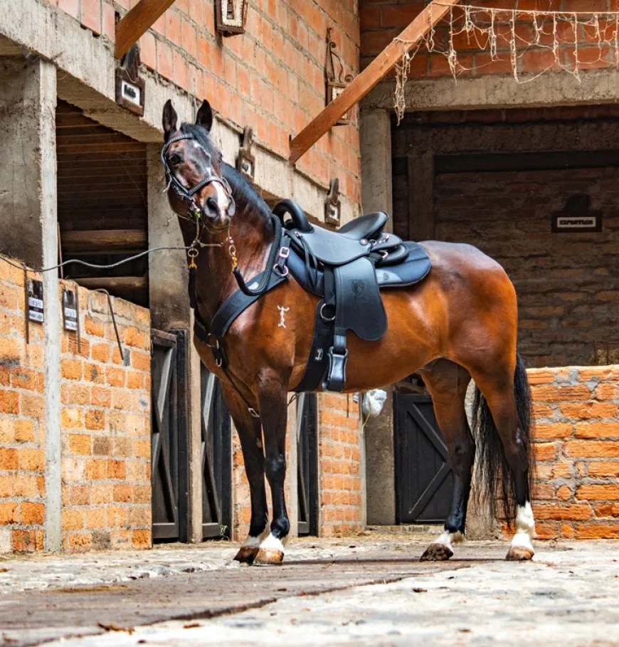 Tereque Tronador Cabalgata Mesace Montura Resistente y Ergonómica