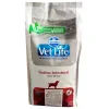 Vet Life Gastrointestinal Perro 2 Kg. Alimentación digestiva y saludable