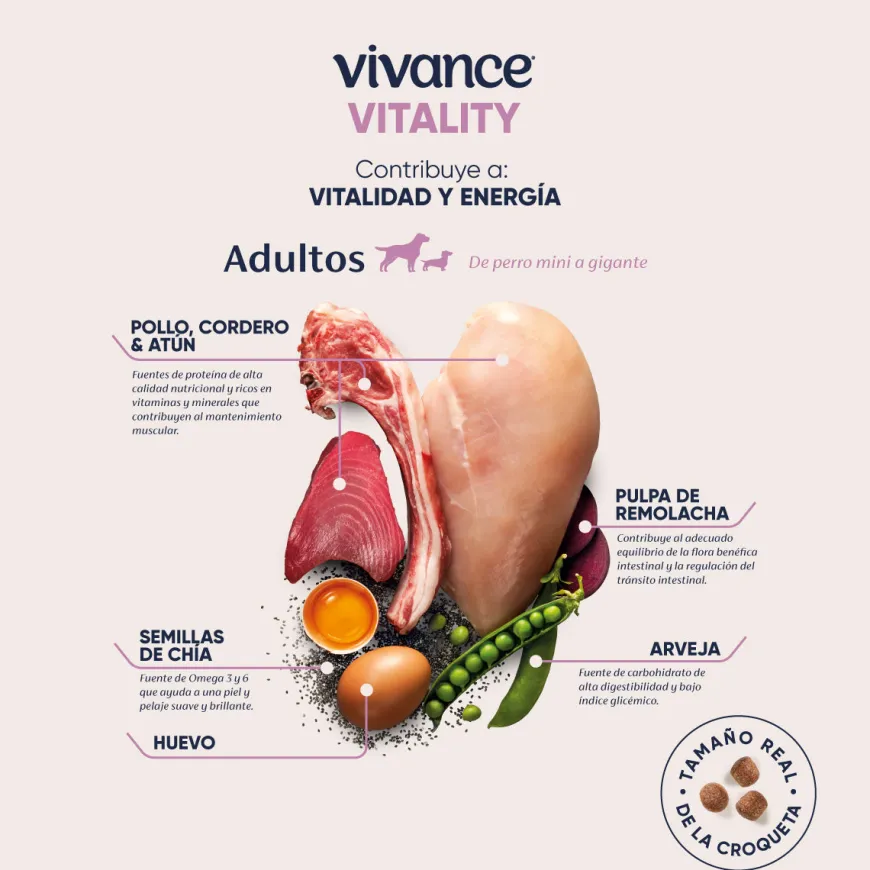Vivance Vitality Adultos Alimento Seco para Perros Todas las Razas