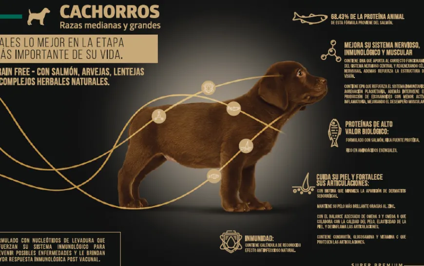 Wellness Alimento Seco Super Premiun Perros Cachorros Mediano y Grande